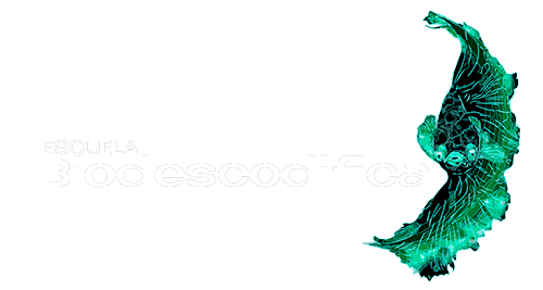 Escuela Biodescodifica